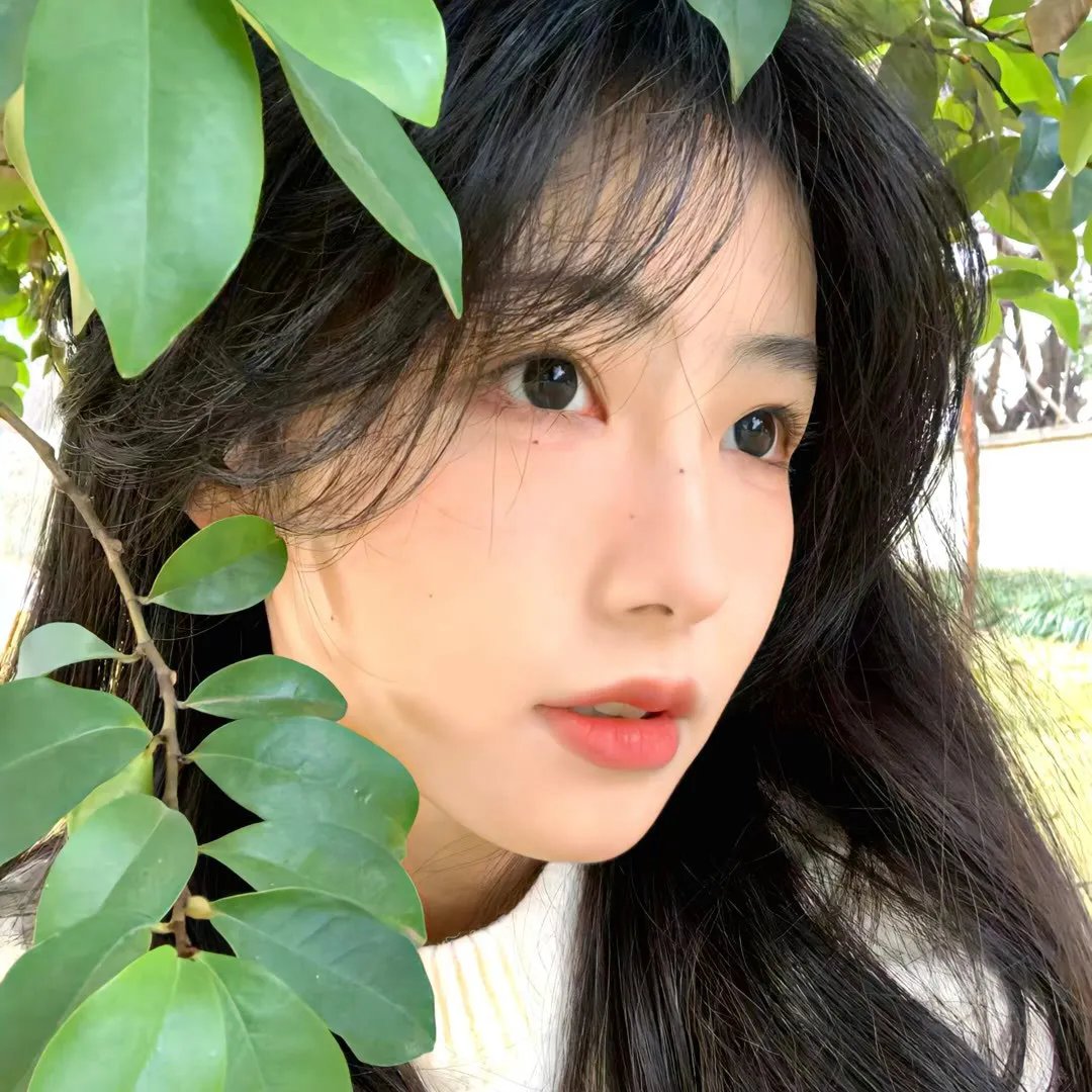 鲁姬哈蒂