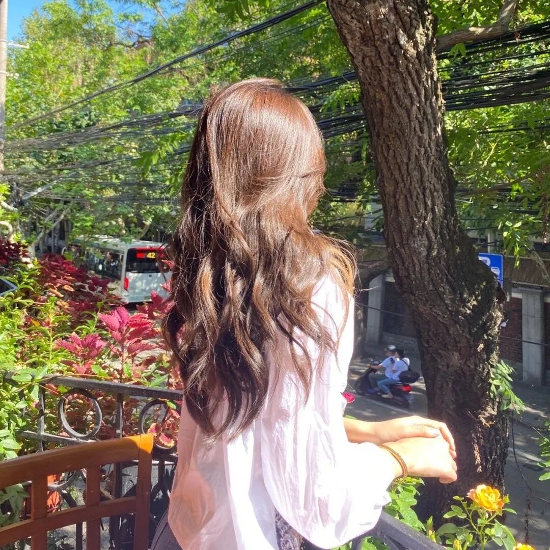 完美计划